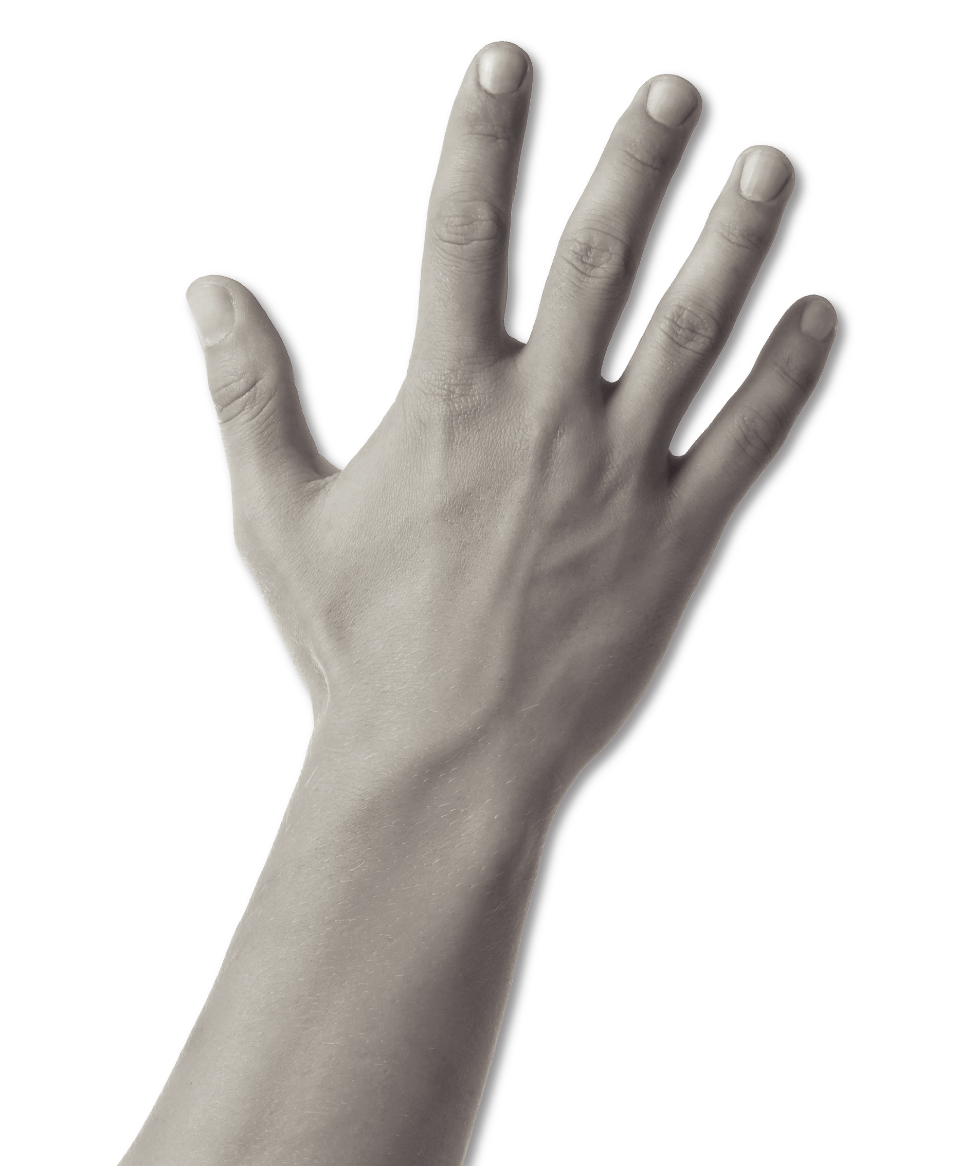 Hand 5