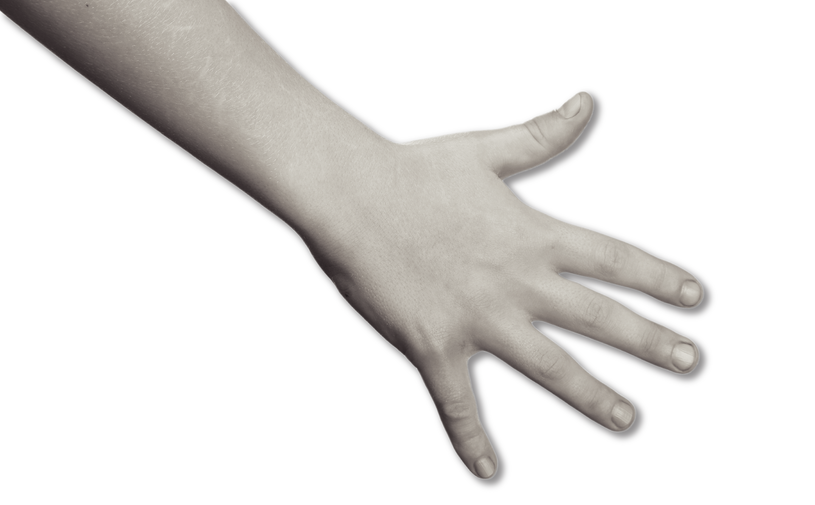 Hand 7